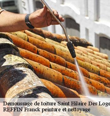 Demoussage de toiture