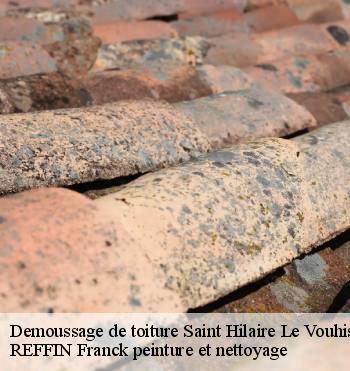 Demoussage de toiture