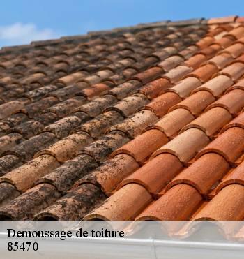 Demoussage de toiture