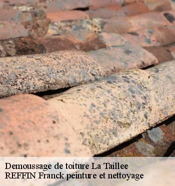 Demoussage de toiture