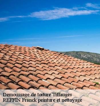 Demoussage de toiture