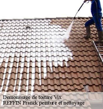 Demoussage de toiture