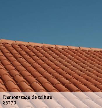 Demoussage de toiture