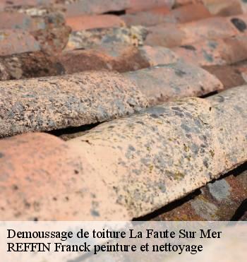 Demoussage de toiture