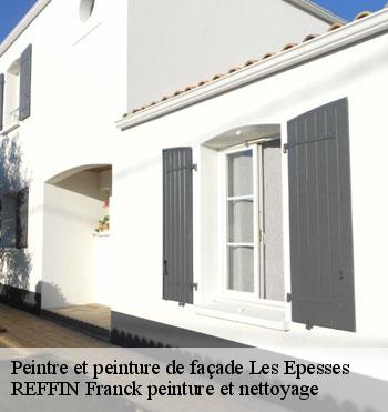 Peintre et peinture de façade