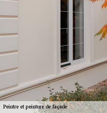 Peintre et peinture de façade