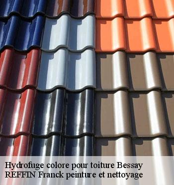 Hydrofuge colore pour toiture