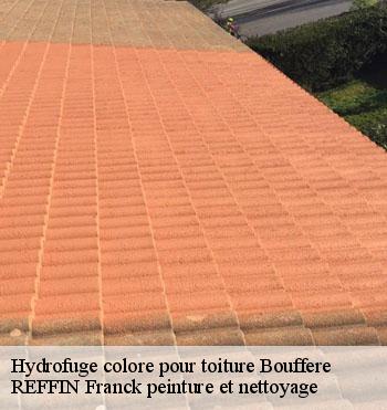 Hydrofuge colore pour toiture