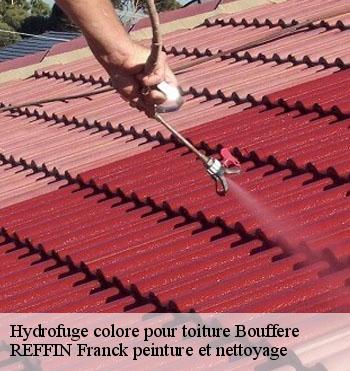 Hydrofuge colore pour toiture