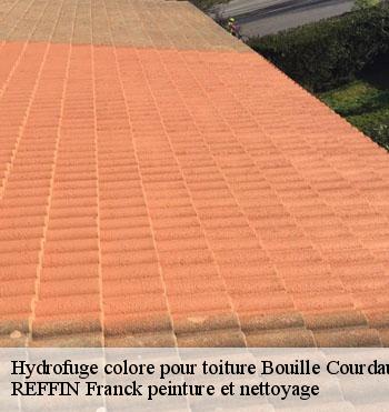 Hydrofuge colore pour toiture