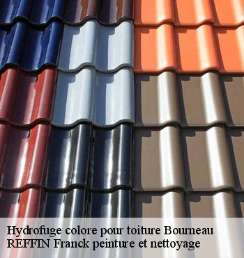 Hydrofuge colore pour toiture