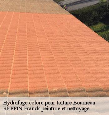 Hydrofuge colore pour toiture