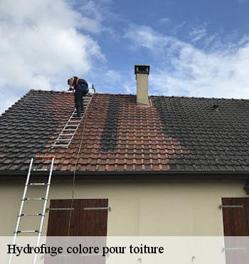 Hydrofuge colore pour toiture