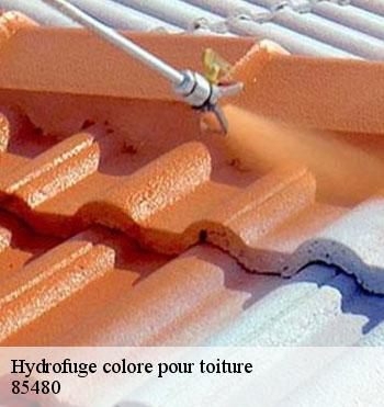 Hydrofuge colore pour toiture