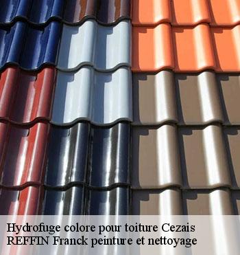 Hydrofuge colore pour toiture