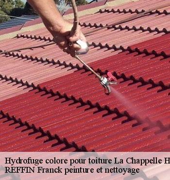 Hydrofuge colore pour toiture