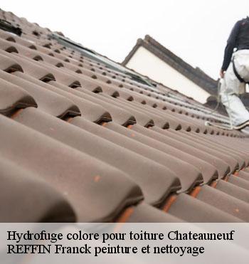 Hydrofuge colore pour toiture