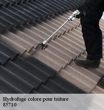 Hydrofuge colore pour toiture