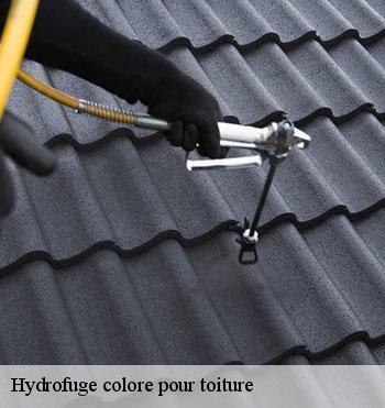 Hydrofuge colore pour toiture