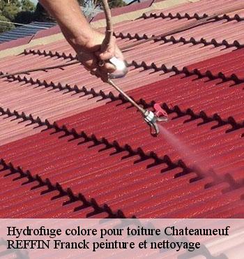 Hydrofuge colore pour toiture