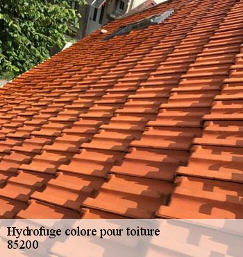 Hydrofuge colore pour toiture