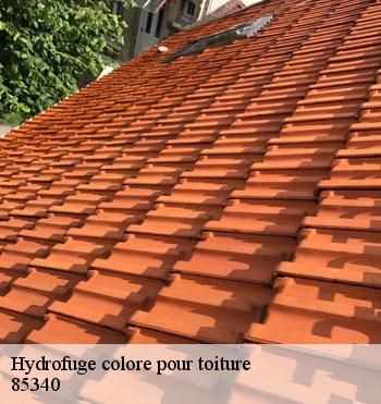 Hydrofuge colore pour toiture