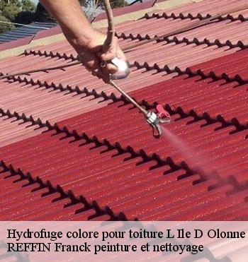 Hydrofuge colore pour toiture