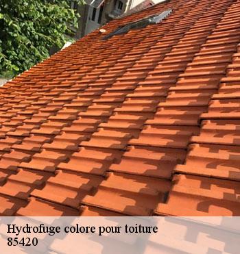 Hydrofuge colore pour toiture