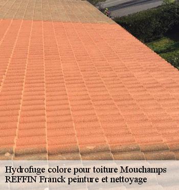 Hydrofuge colore pour toiture