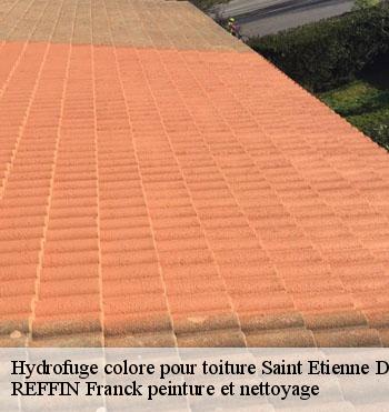 Hydrofuge colore pour toiture