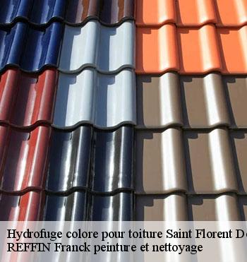 Hydrofuge colore pour toiture