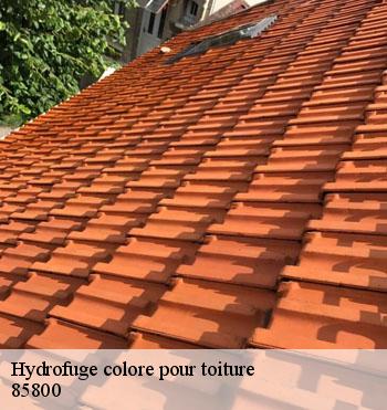 Hydrofuge colore pour toiture