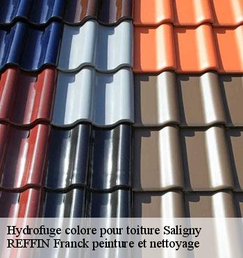 Hydrofuge colore pour toiture