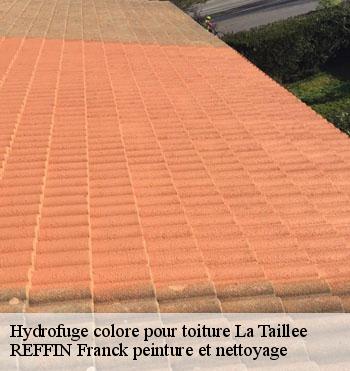 Hydrofuge colore pour toiture
