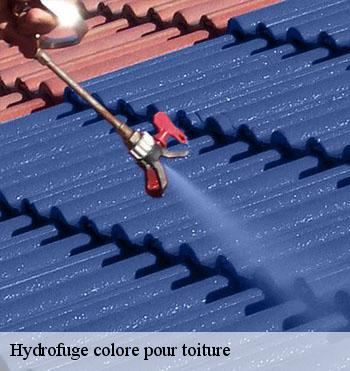 Hydrofuge colore pour toiture