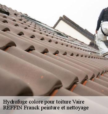 Hydrofuge colore pour toiture
