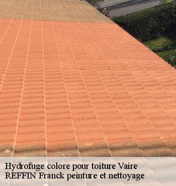Hydrofuge colore pour toiture