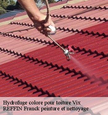 Hydrofuge colore pour toiture