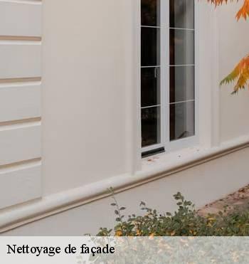 Nettoyage de façade