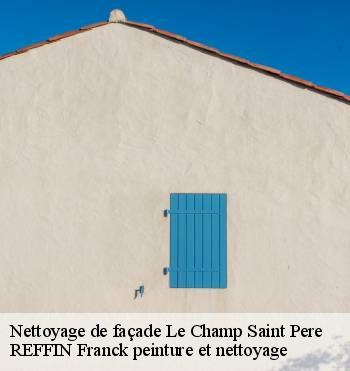 Nettoyage de façade