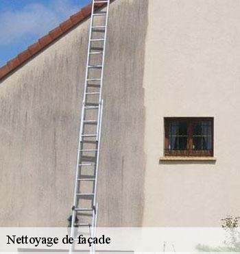 Nettoyage de façade