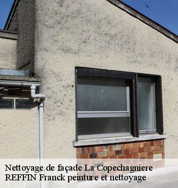 Nettoyage de façade