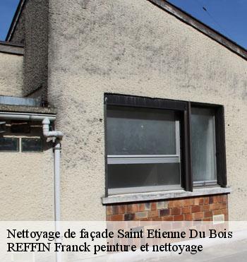 Nettoyage de façade
