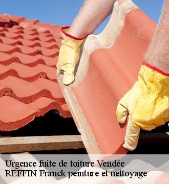 Urgence fuite de toiture