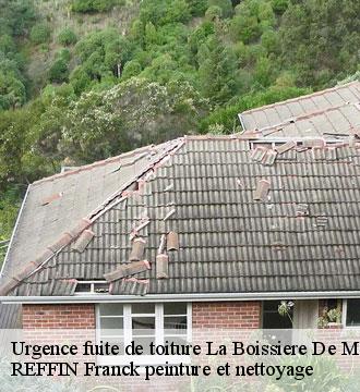 Urgence fuite de toiture