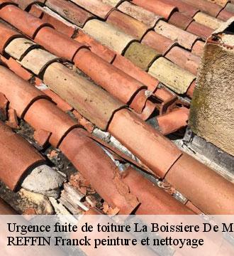Urgence fuite de toiture