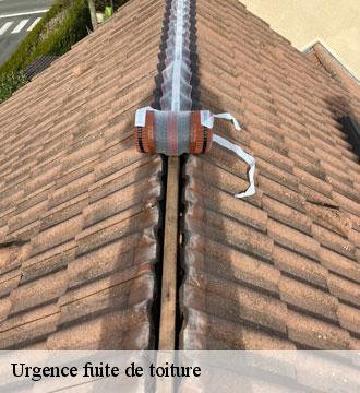 Urgence fuite de toiture