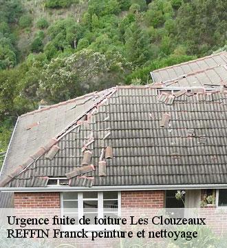 Urgence fuite de toiture