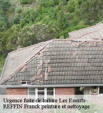 Urgence fuite de toiture