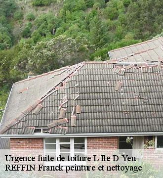 Urgence fuite de toiture